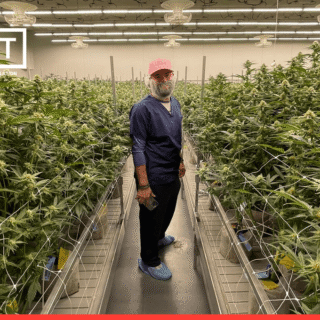 Why LIT Farms is Revolutionizing How We Enjoy Wellness and Nature