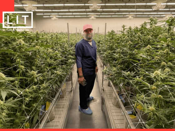 Why LIT Farms is Revolutionizing How We Enjoy Wellness and Nature