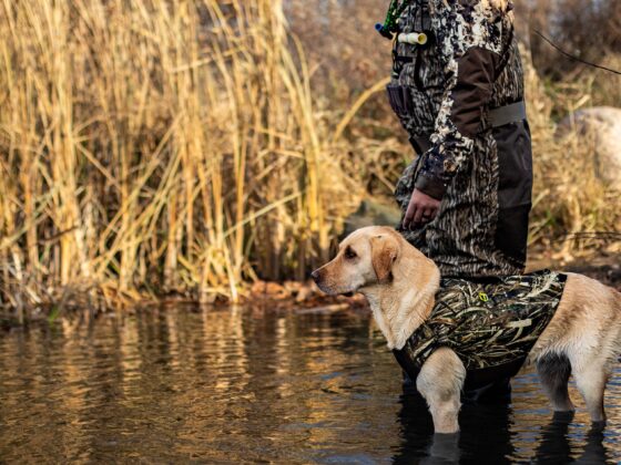 Master the Outdoors: How TideWe Transforms Hunting Gear and Apparel